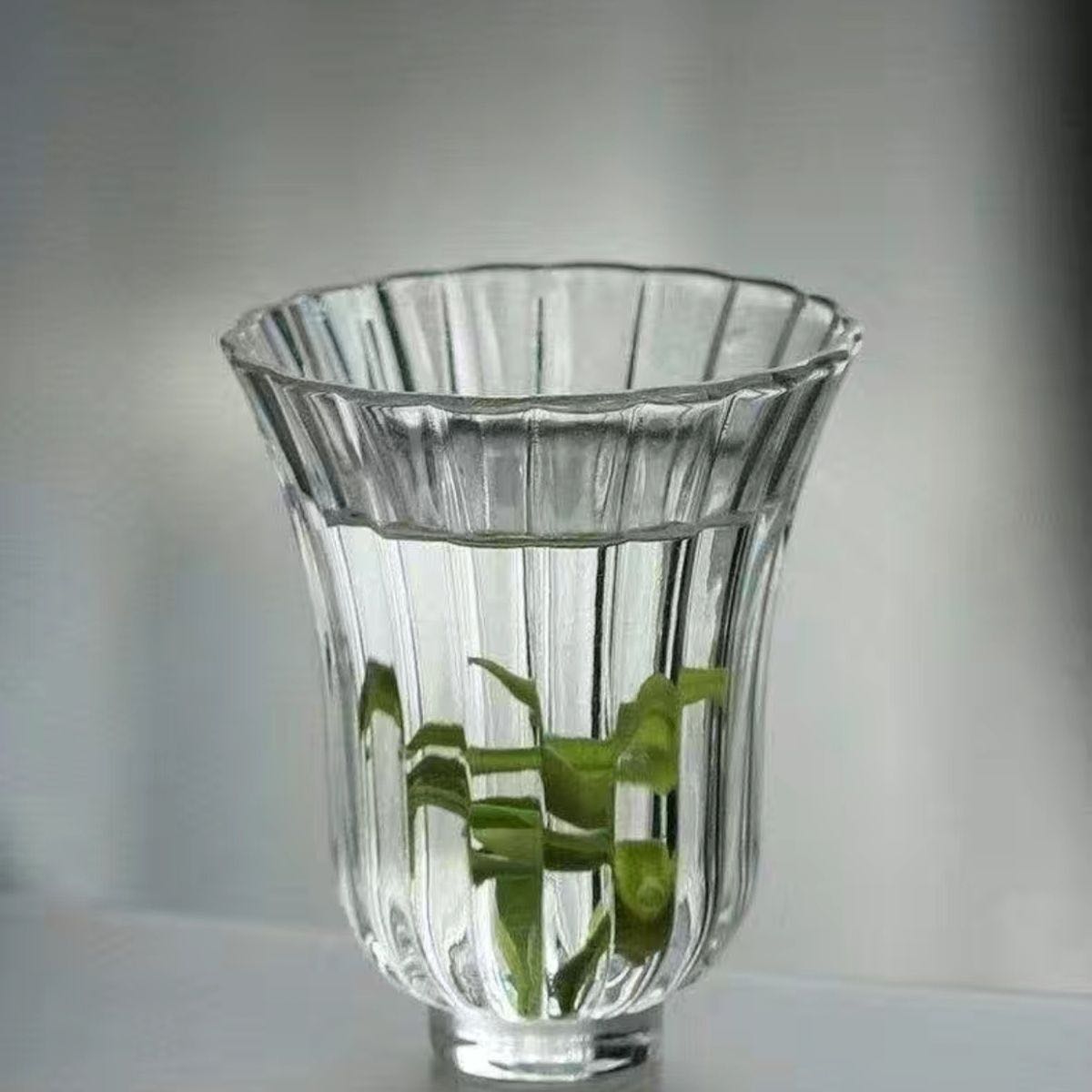 Vaso de Vidrio Estriado para Infusiones