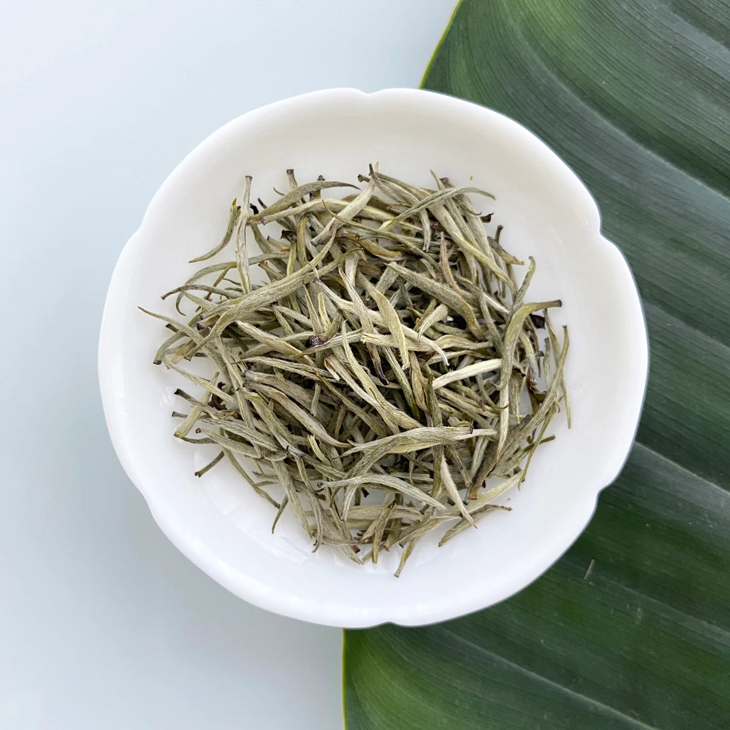 Té Blanco Aguja | Inmunidad, Piel Radiante y Relajación